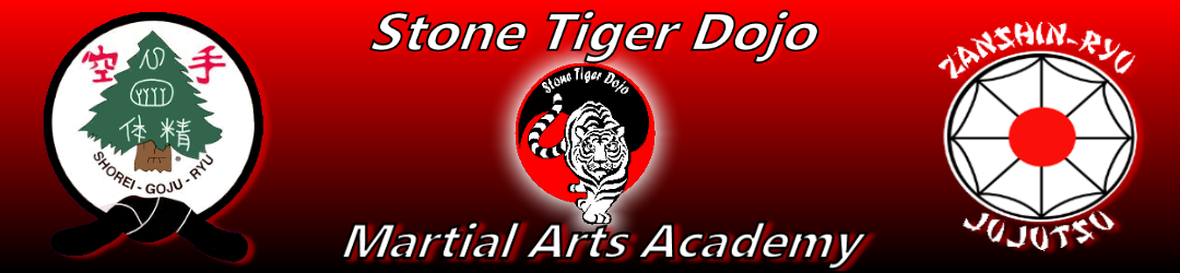 Stone Tiger Dojo Martial Arts Academy
